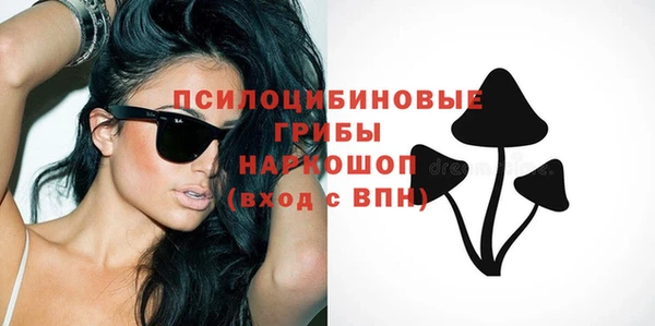 молекула духа Белоозёрский
