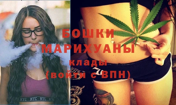 молекула духа Белоозёрский