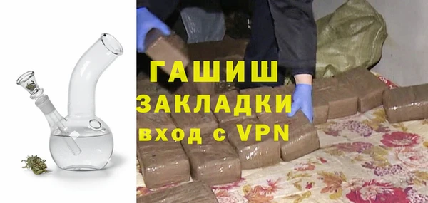 прущие грибы Белокуриха