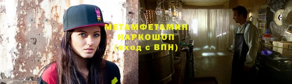 прущие грибы Белокуриха