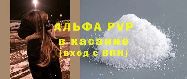 прущие грибы Белокуриха