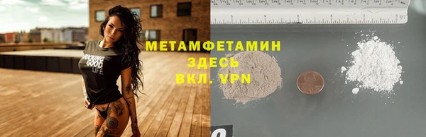 прущие грибы Белокуриха