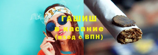 прущие грибы Белокуриха