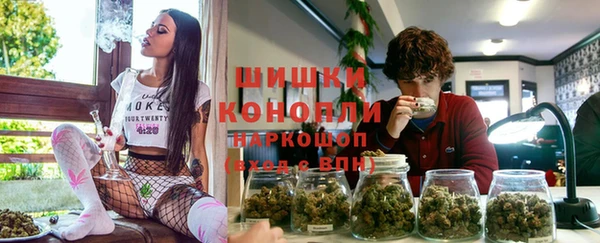 прущие грибы Белокуриха