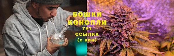 молекула духа Белоозёрский